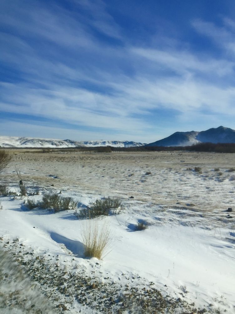 Photograph by Татьяна Шибанова