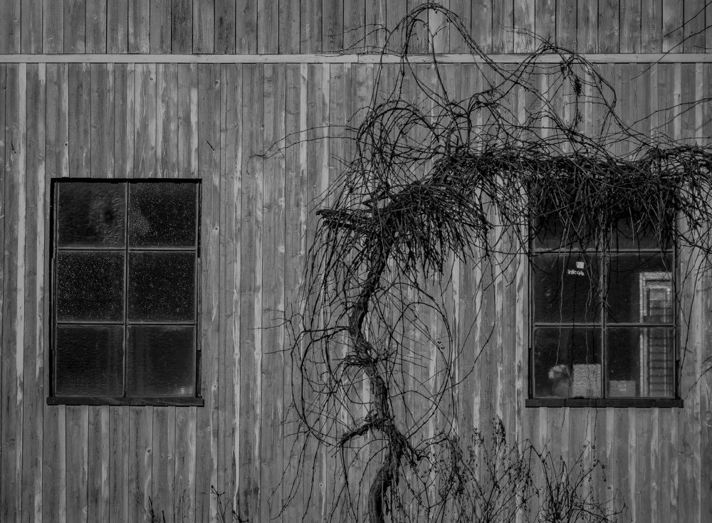 Photograph by RAJKO JELUŠIĆ