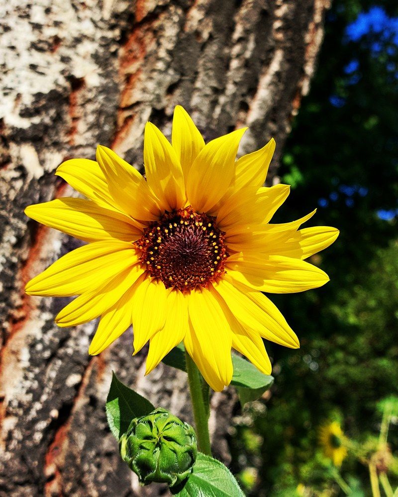 Photograph by Нина Паршина