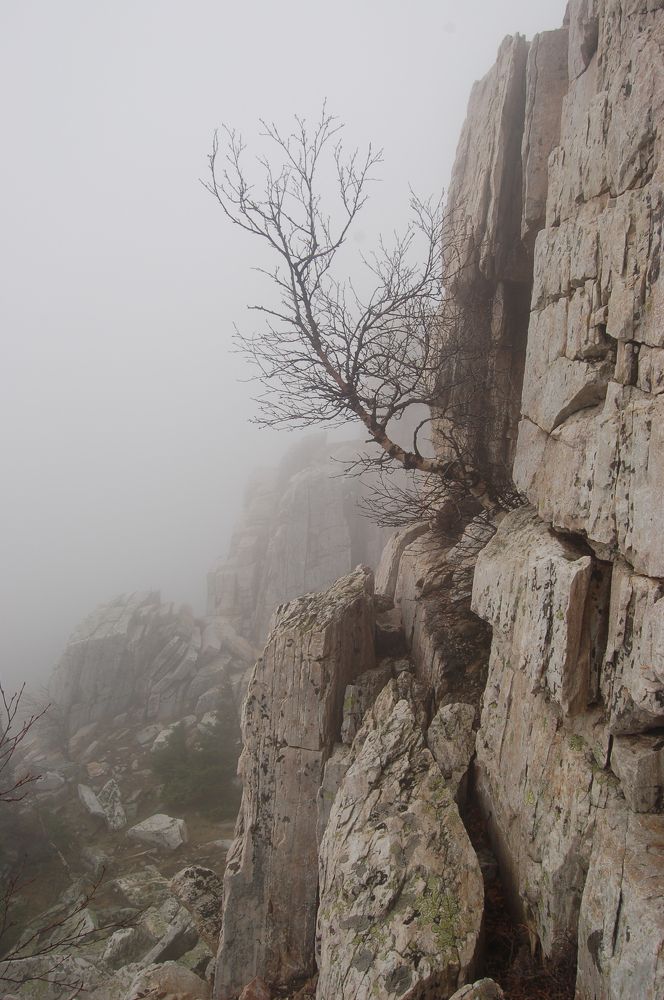 Photograph by Юрий Карачев