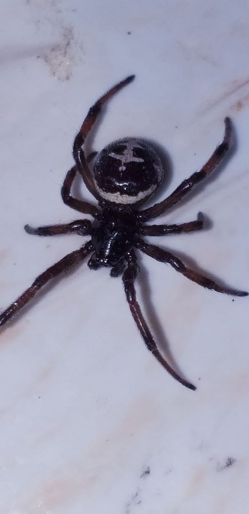 Photograph by Orzigul Babaniyozova