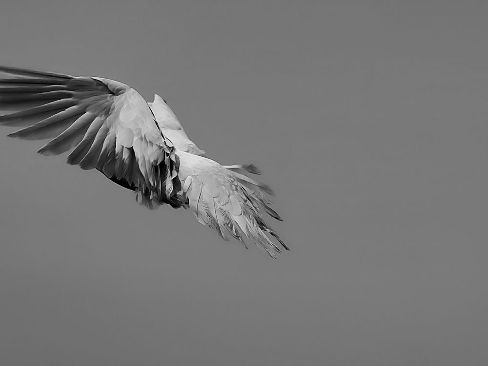 Photograph by Shahriar Kabir Shishir