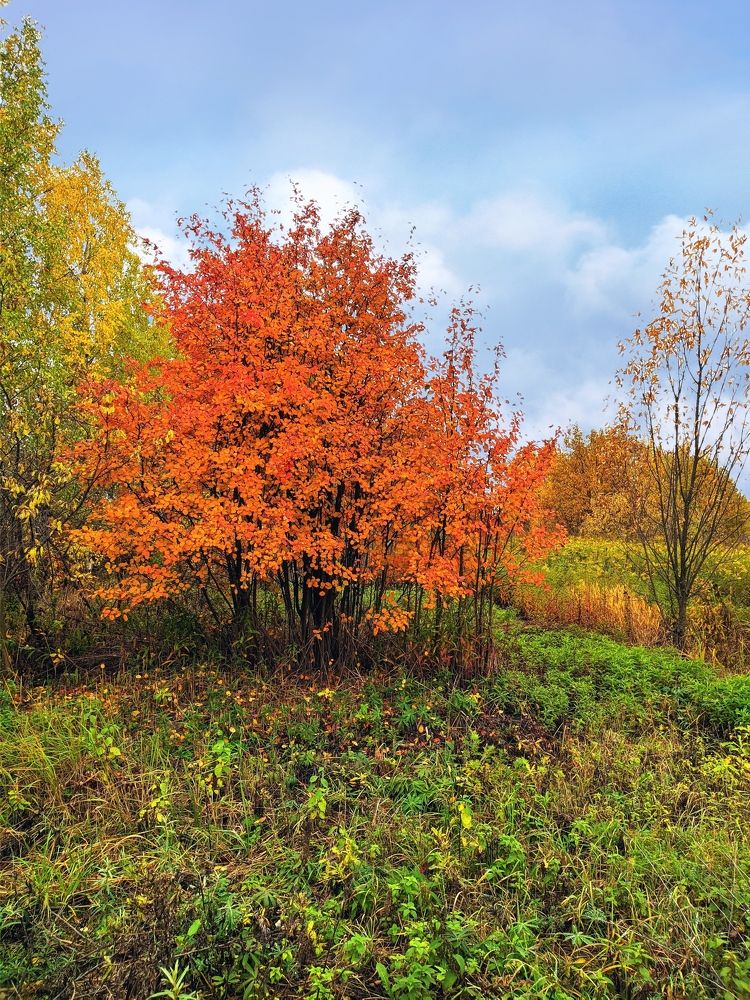 Photograph by Светлана