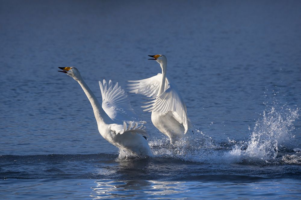 Photograph by Евгений Санин