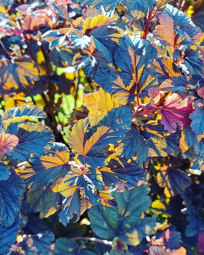 Photograph by Нина Паршина