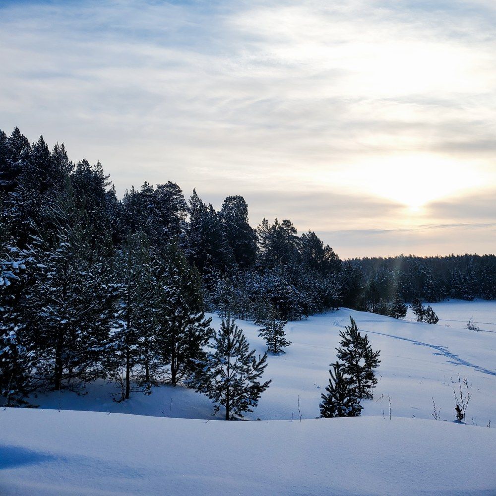 Photograph by Наталья Светлова