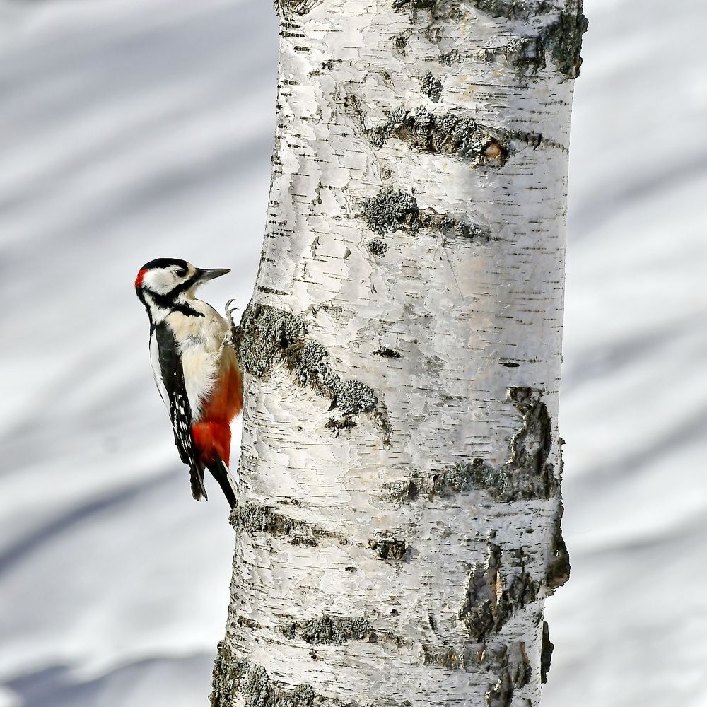Photograph by Александр Катунцев
