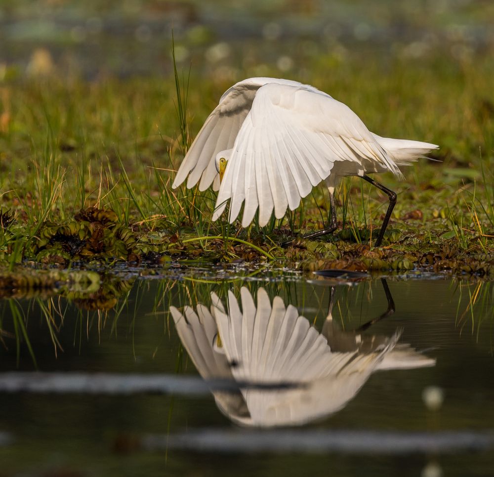 Photograph by Ranley Evarts