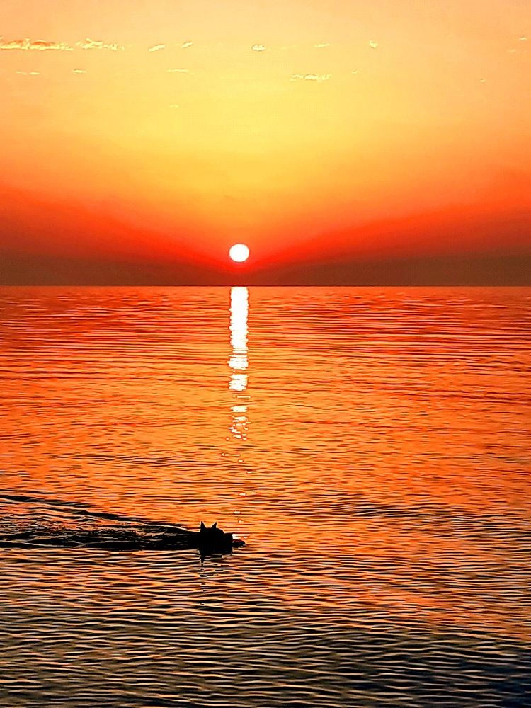 Photograph by Ирина Гнатюк