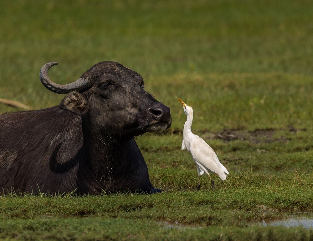 Photograph by Ranley Evarts