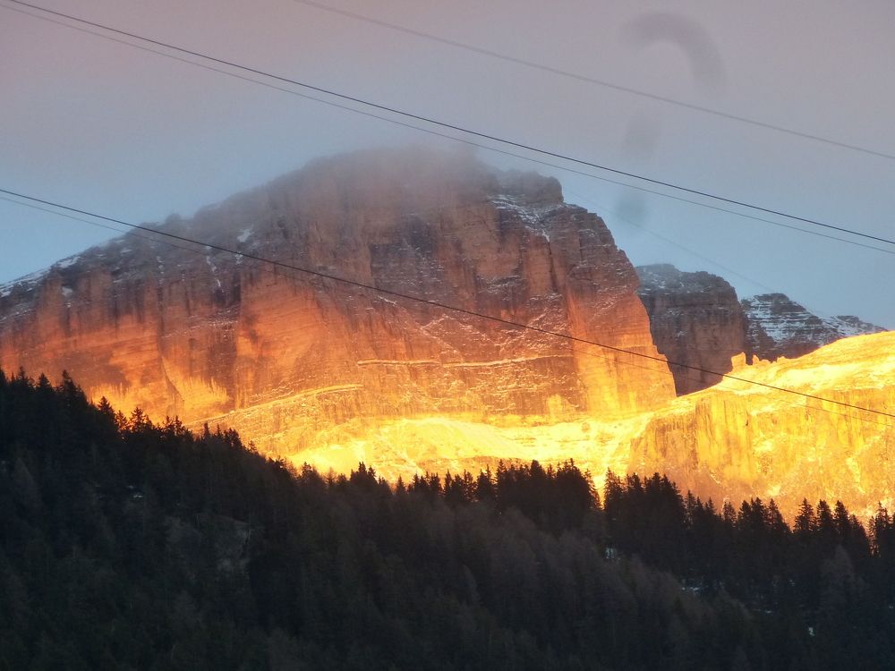 Photo #7292666