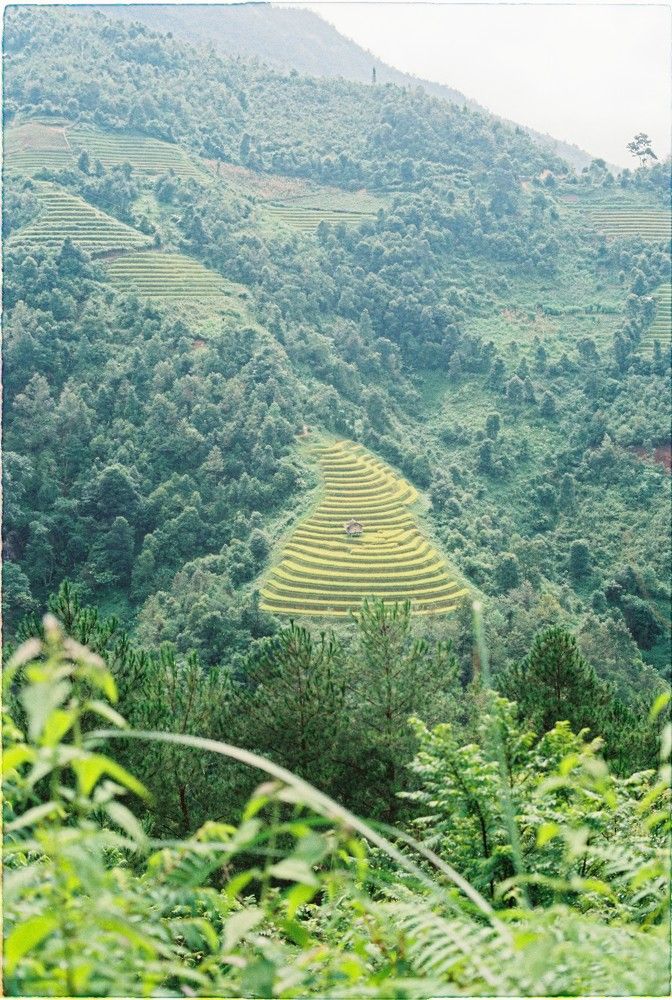 Фотография автора Luong Cung