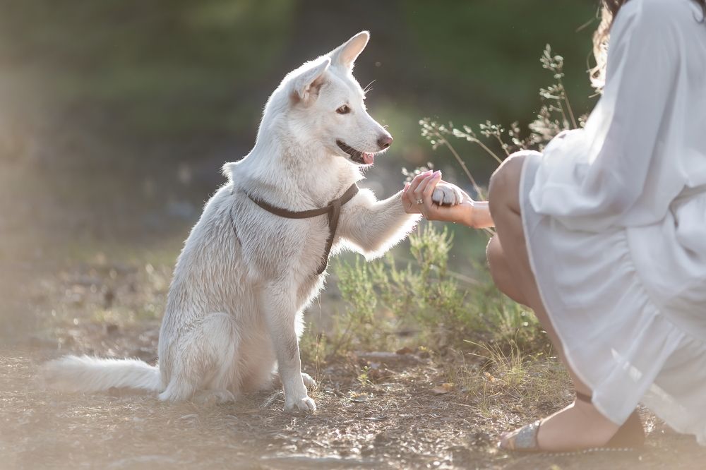 Photograph by Ирина Недикова