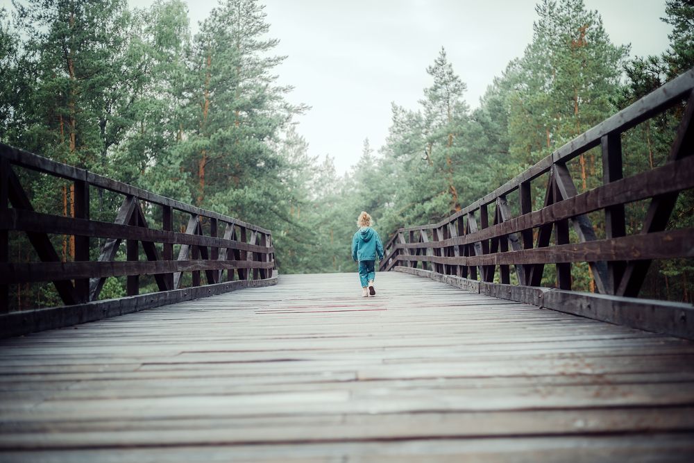 Фотография автора Елена Баклач
