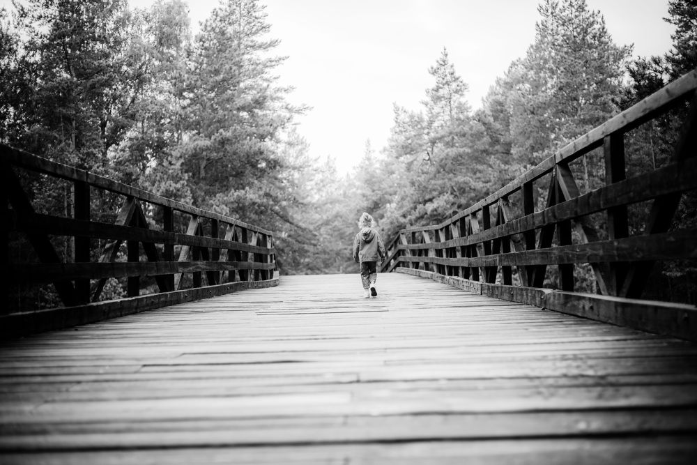 Фотография автора Елена Баклач