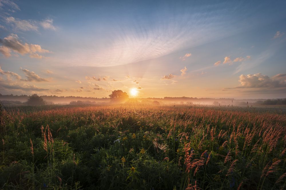 Небесная паутина 1