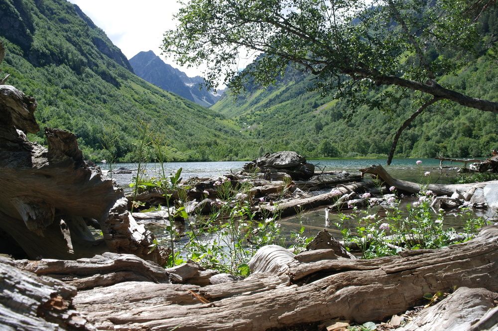 Photograph by Ирина Дронова