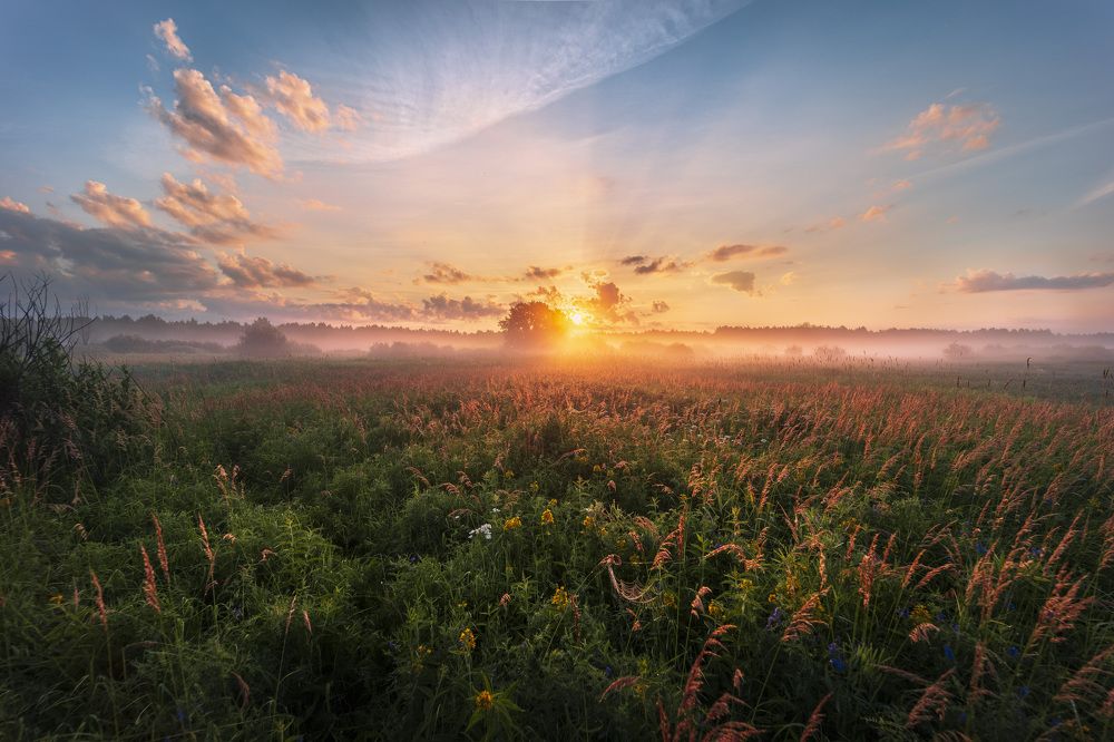 Небесная паутина 2