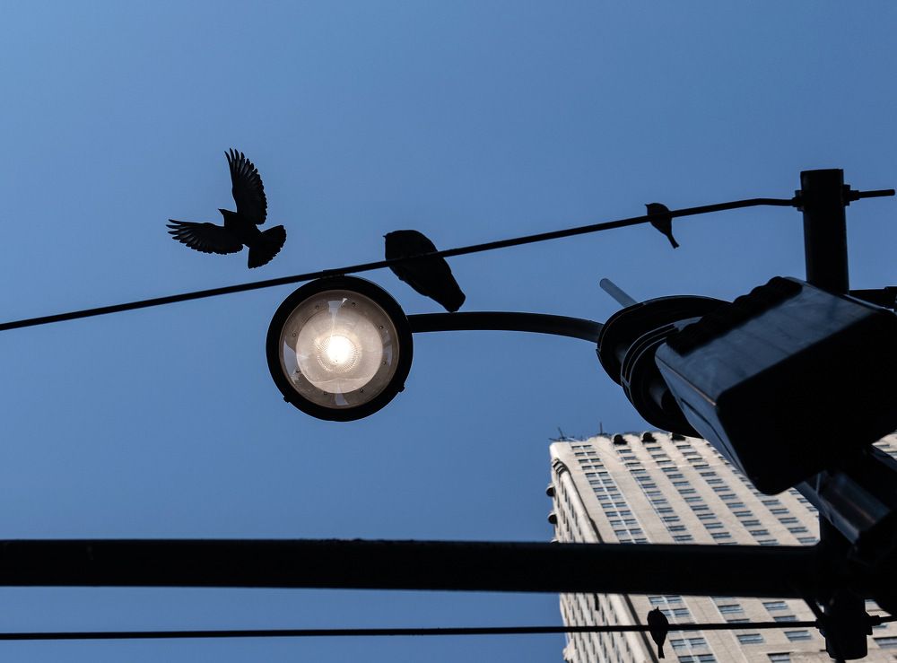 Photograph by MARCELO PRATES