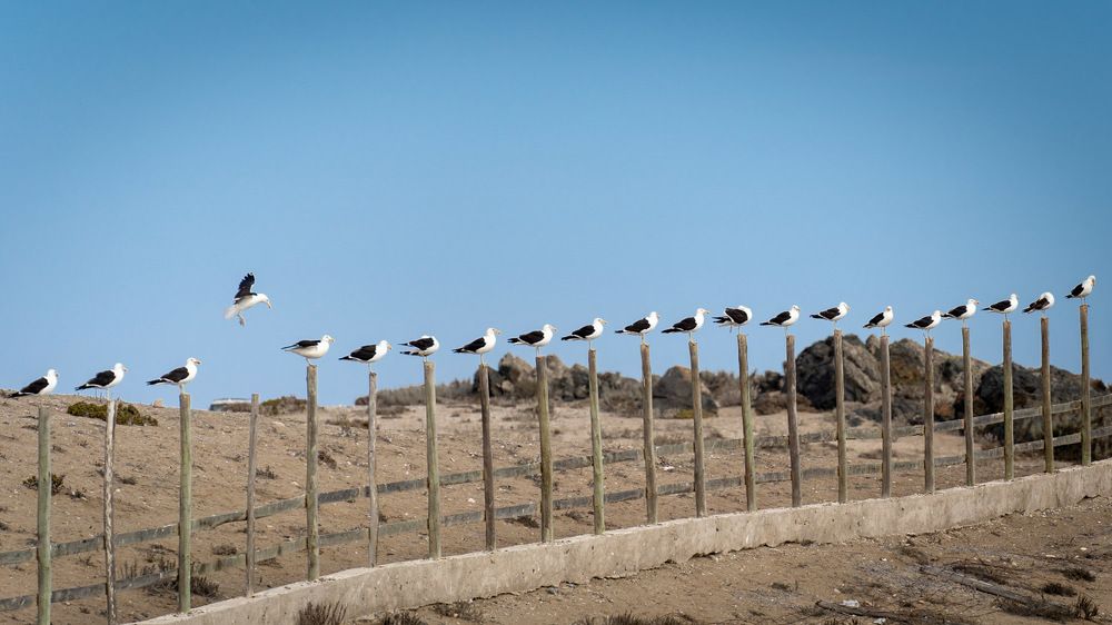 Photograph by Cifuentes Alejandro