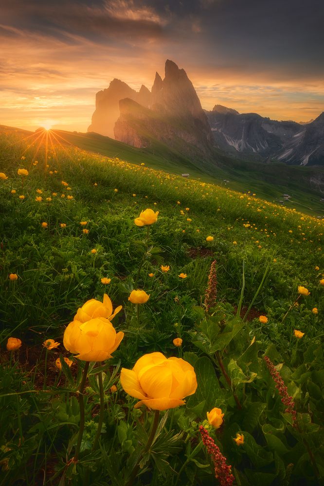 Photograph by Roberto Pavic