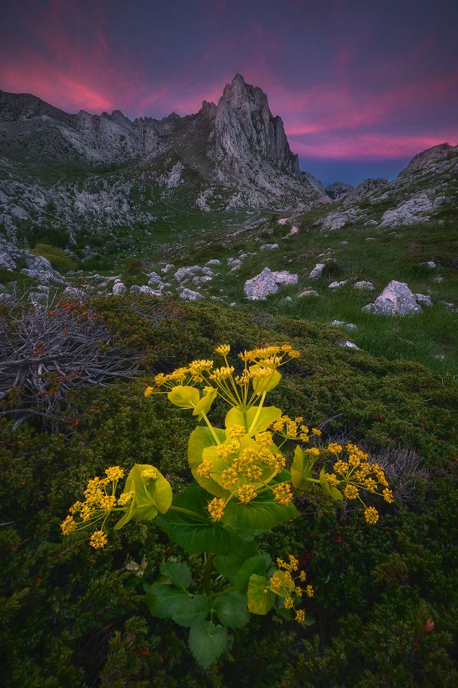 Photograph by Roberto Pavic