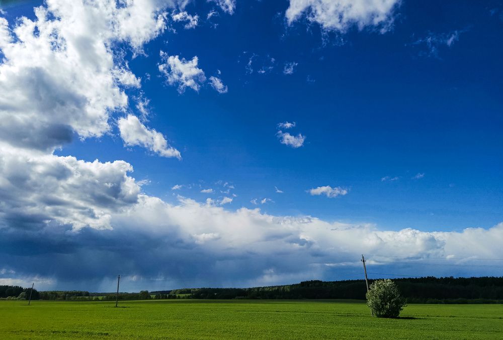 Photograph by Ольга