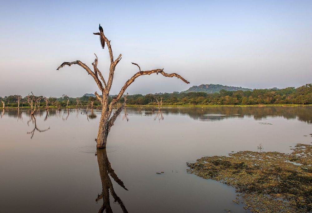 Photograph by Irina Grigoryeva
