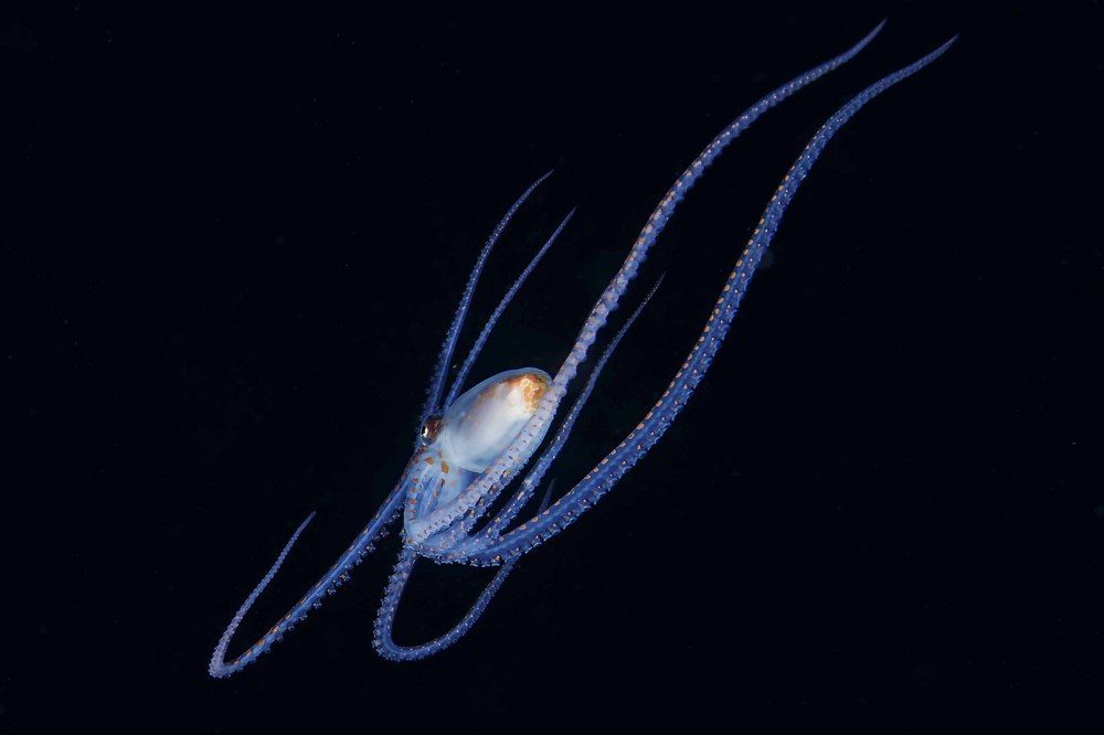 Photograph by Deniz muzaffer Gokmen