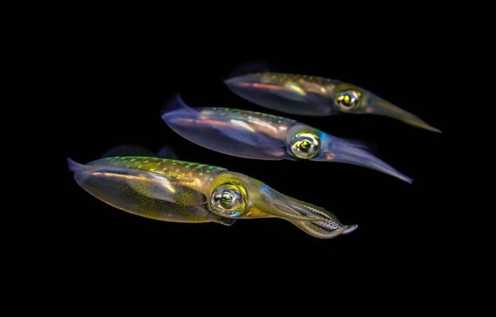 Photograph by Роман