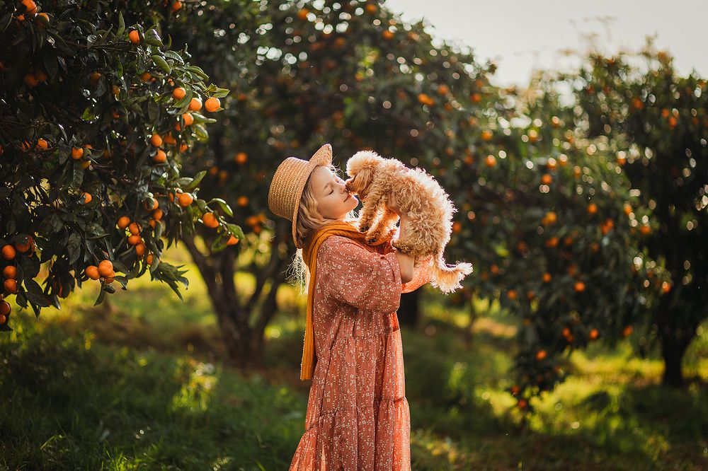 Photograph by Татьяна Зорина