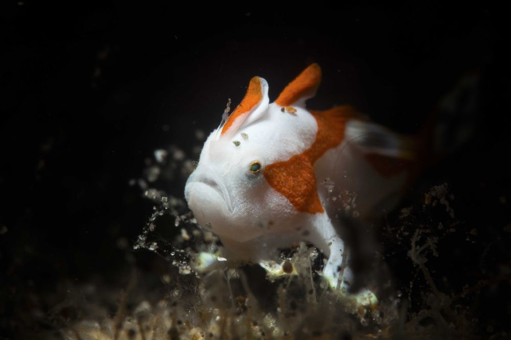 Photograph by Deniz muzaffer Gokmen