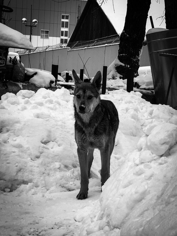 Photograph by Игнат Щеглов