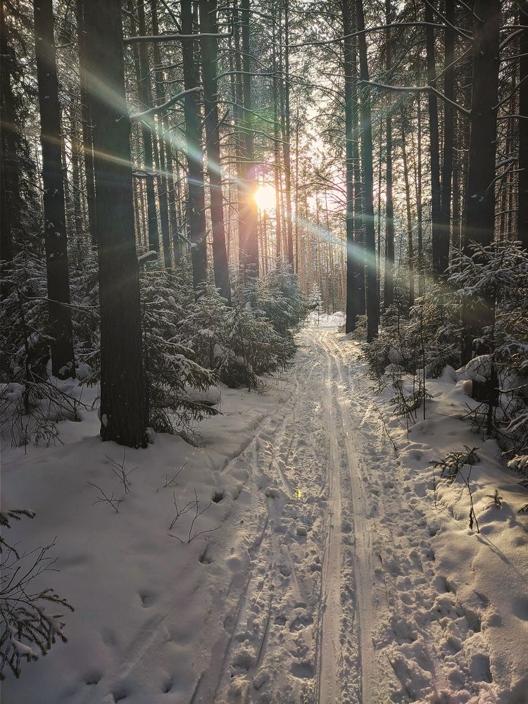 Photograph by Николай Писецкий