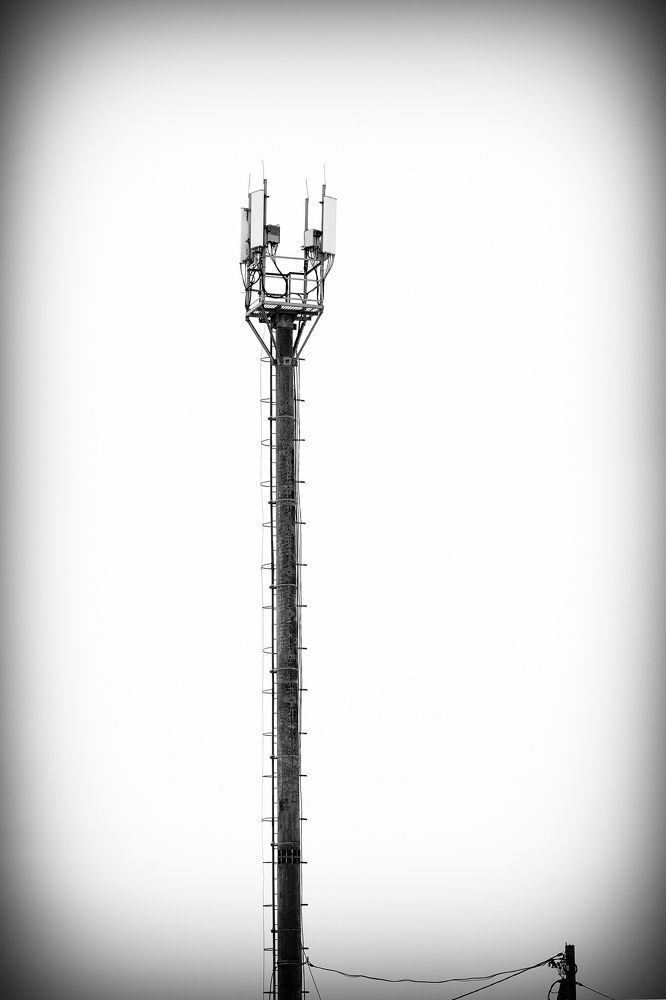 Photograph by Алексей Куликов