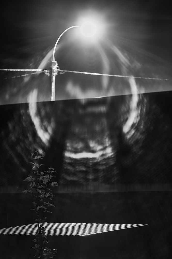 Photograph by Алексей Куликов