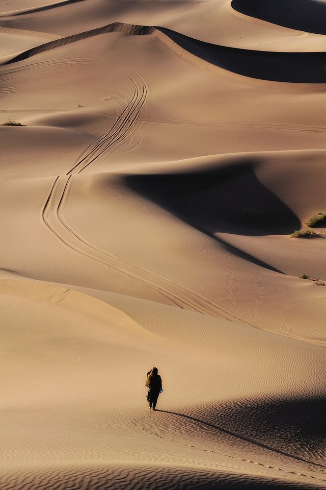 Фотография автора Erfan Rabiei dastjerdi