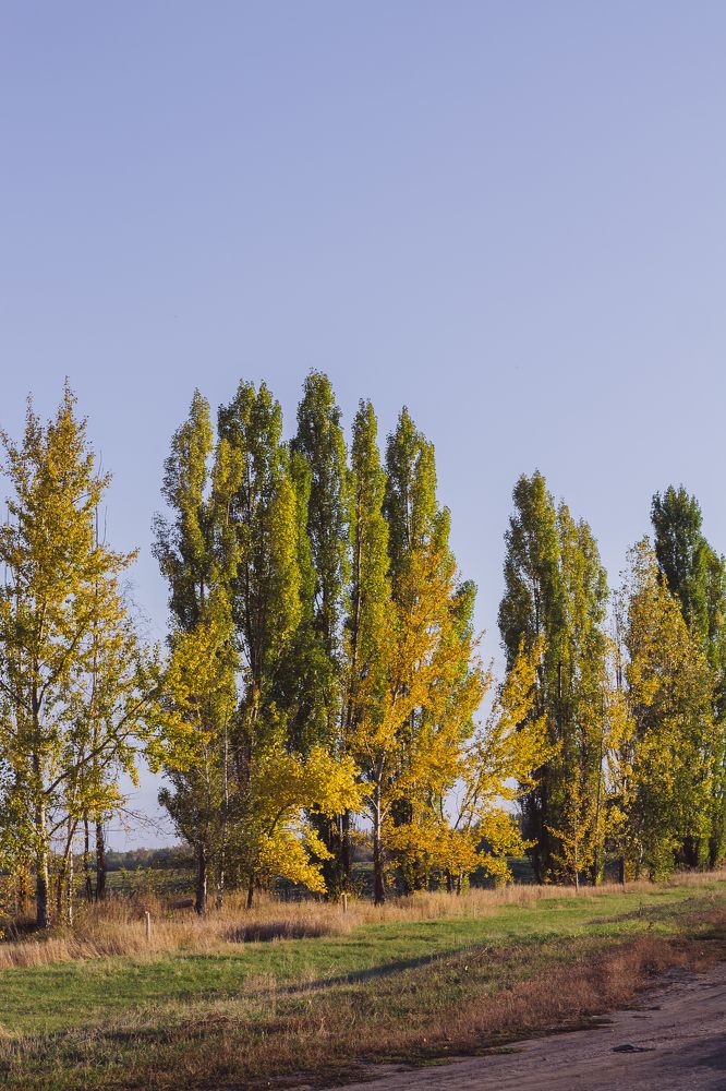 Photograph by Лена Андреева