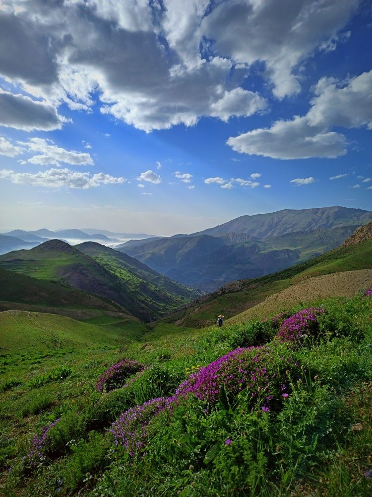 Photograph by Pourya Farajpour