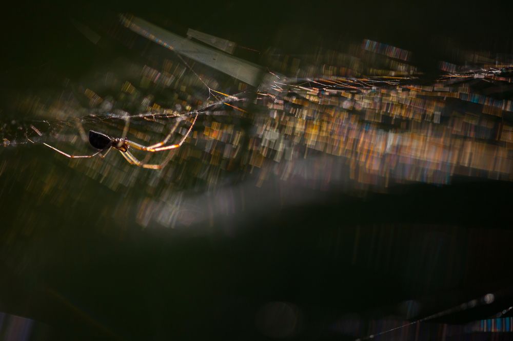 Photograph by Викулов Николай