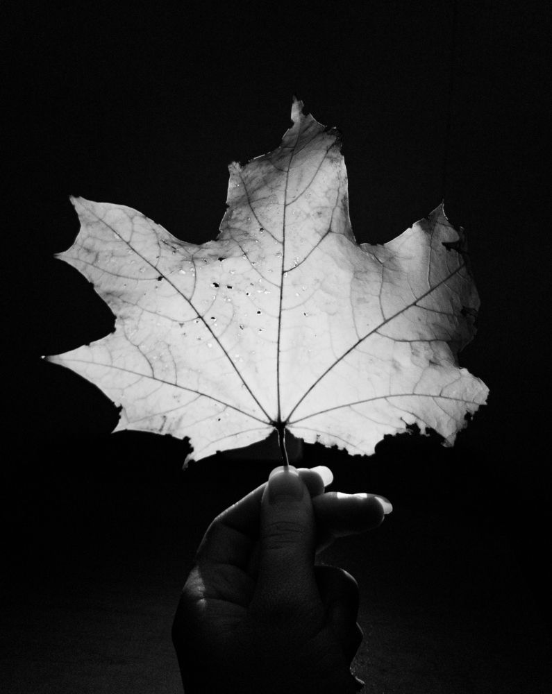 Photograph by Виктория Максюта