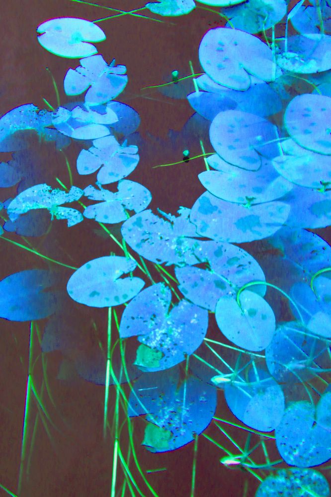 Photograph by Яна Янищиц