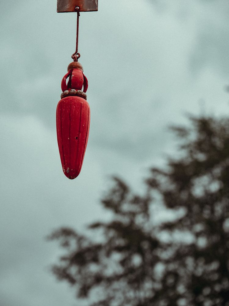 Photograph by Виктория Максюта