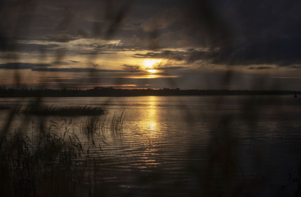 Photograph by Elena Kostochkina