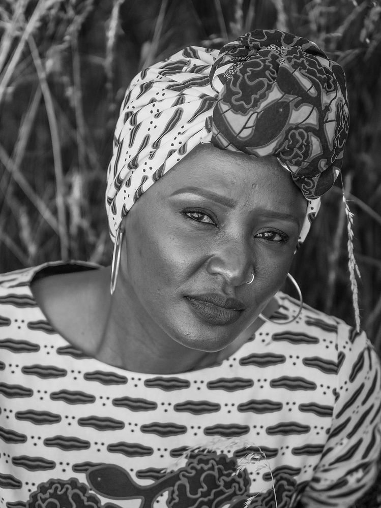 Фотография автора Mojtaba Chenari