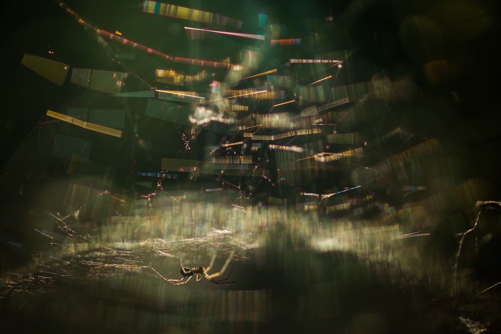 Photograph by Викулов Николай