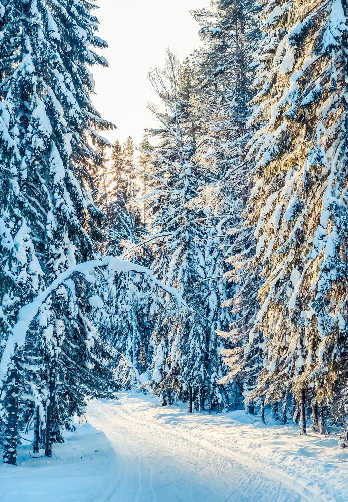 Доброе утро