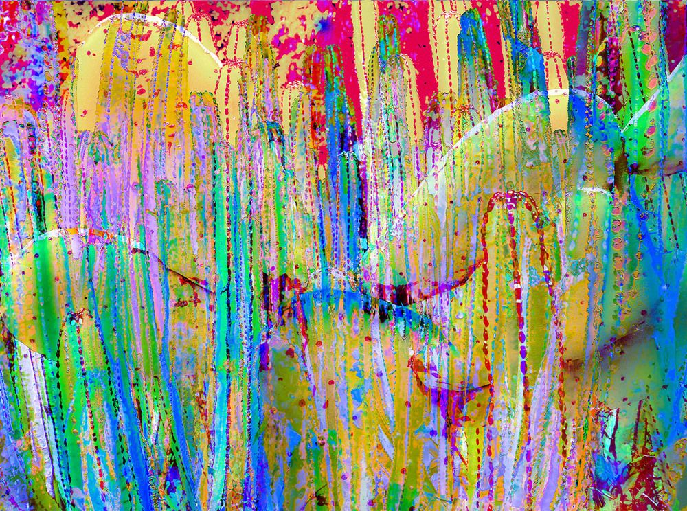 Фотография автора jean-luc