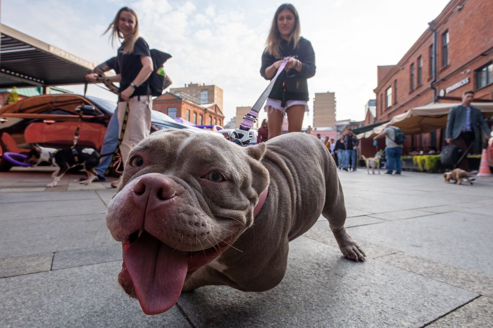 Photograph by Mihail Frolov