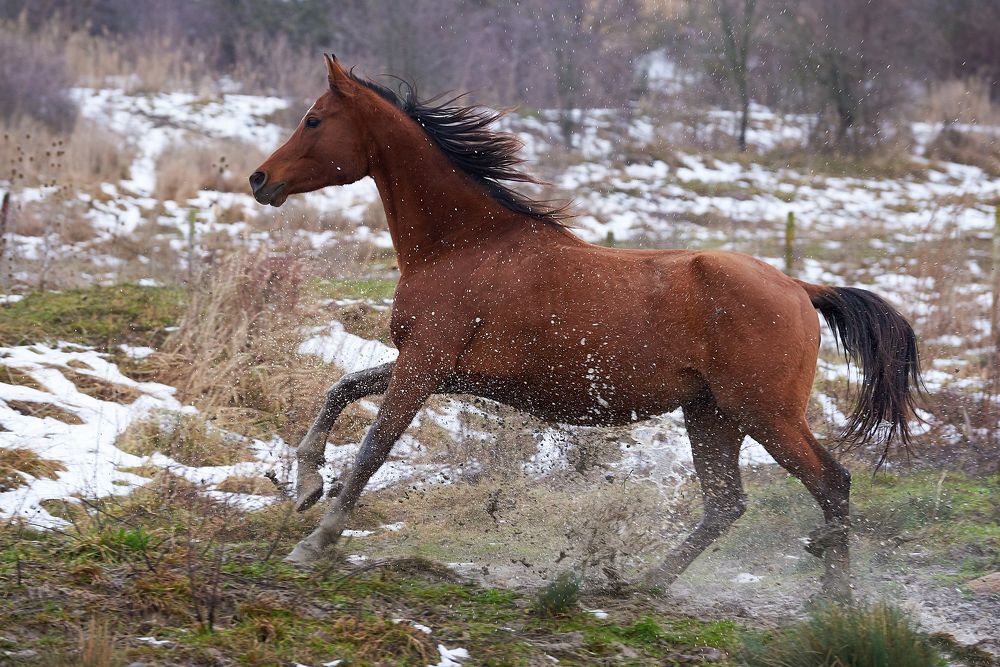 Photograph by Наталья Богач